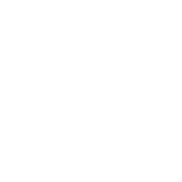 Secret Ninja\'s